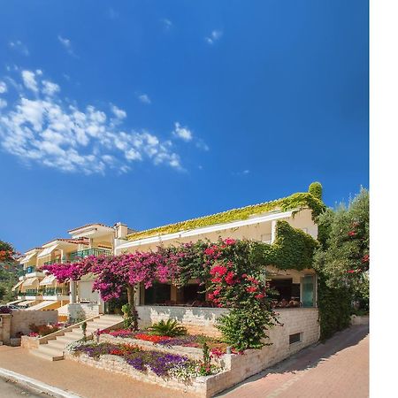 Xenios Loutra Village Beach Hotel アギア・パラスカヴィ エクステリア 写真