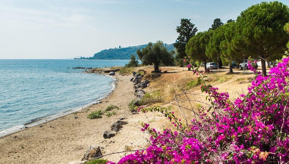 Xenios Loutra Village Beach Hotel アギア・パラスカヴィ エクステリア 写真